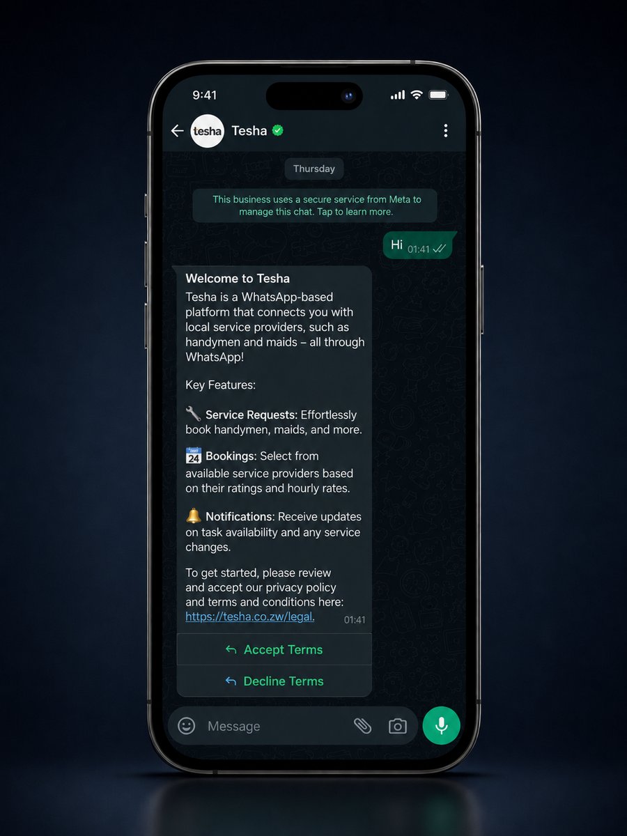 WhatsApp chat: Tesha's welcome message with Accept Terms and Decline Terms buttons